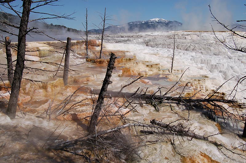 geyser-yellowstone-tour-1336-from-slc