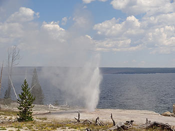 yellowstone national park tours from salt lake city