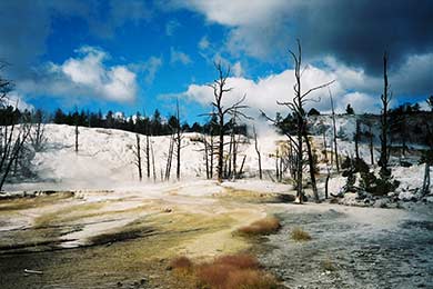 salt lake city tours to yellowstone