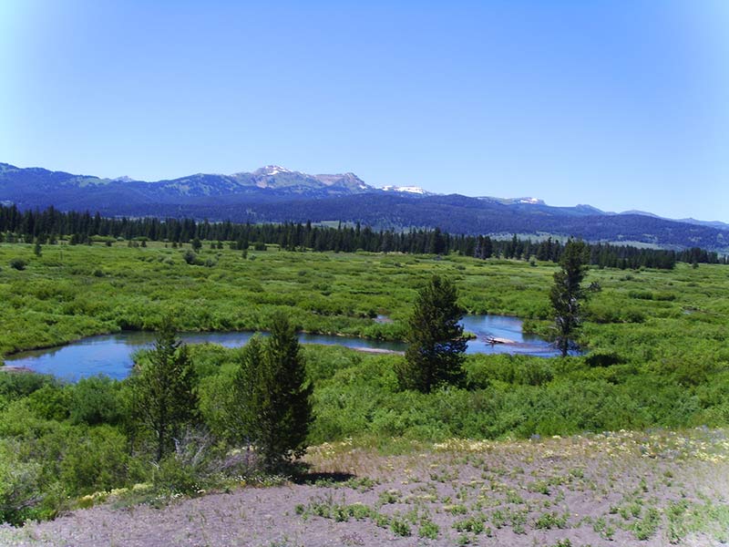 breath-taking-yellowstone-green-view-1400