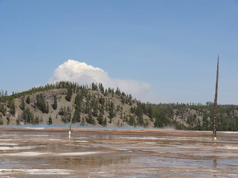 yellowstone-geysers-wide-view-1298