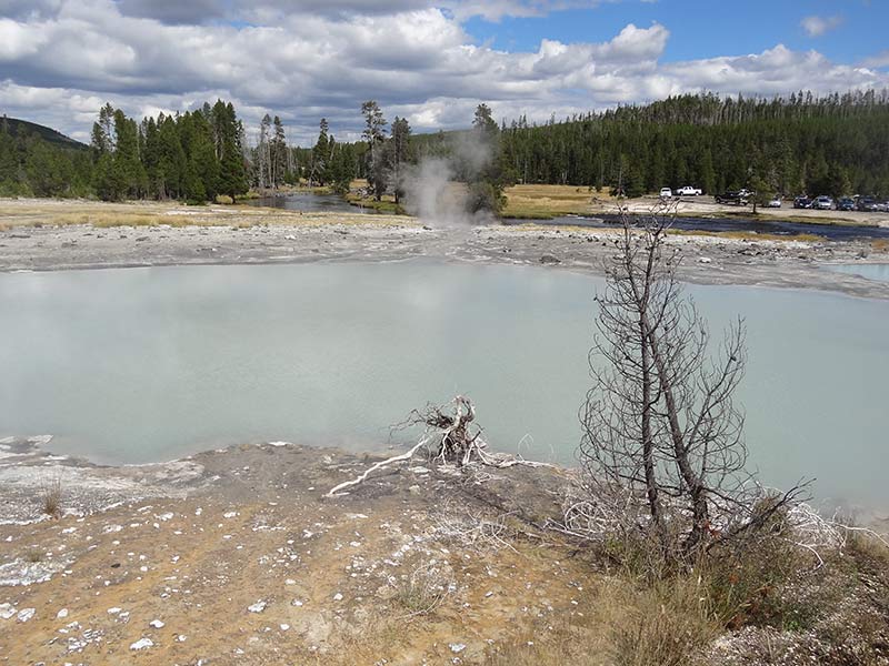 yellowstone-small-geyser-1402